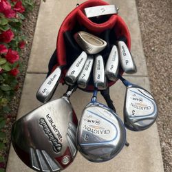Women’s Golf Club Set With A Golf Bag - TaylorMade, Cobra, Wilson