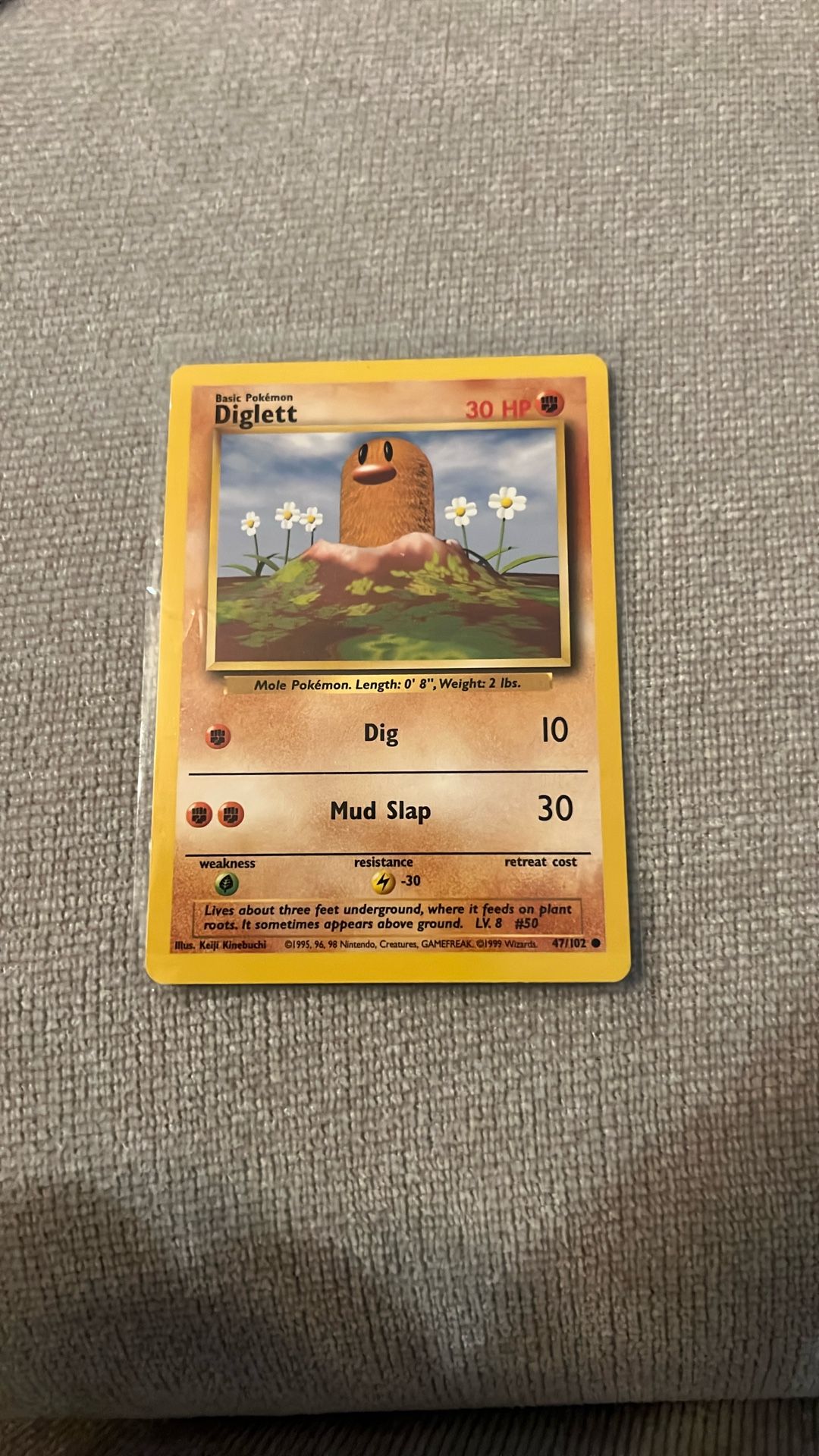 Pokemon Diglett