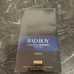 Bad Boy Cologne 