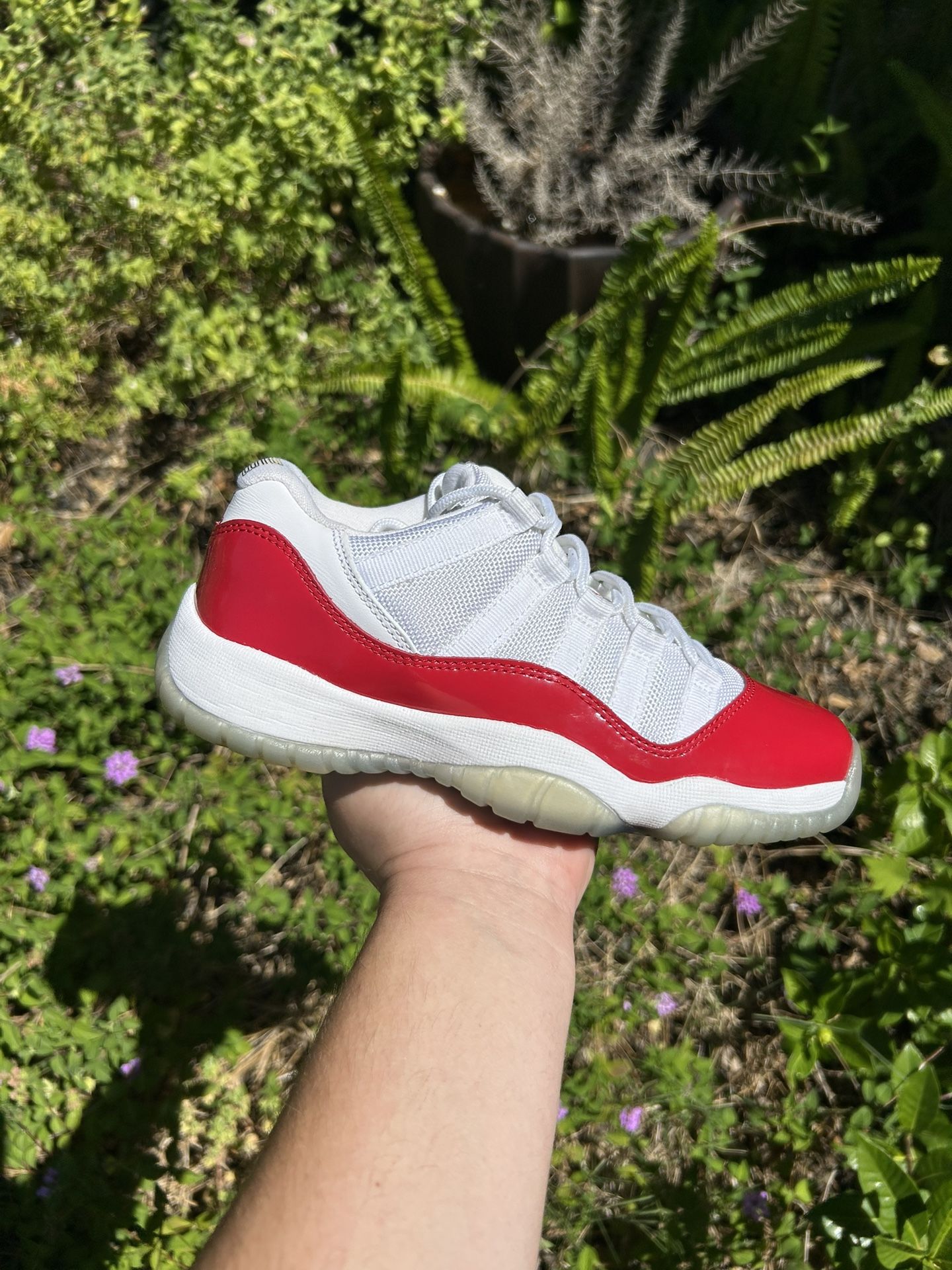 Cherry Jordan 11 lows
