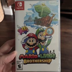 Mario and Luigi Brotherhood