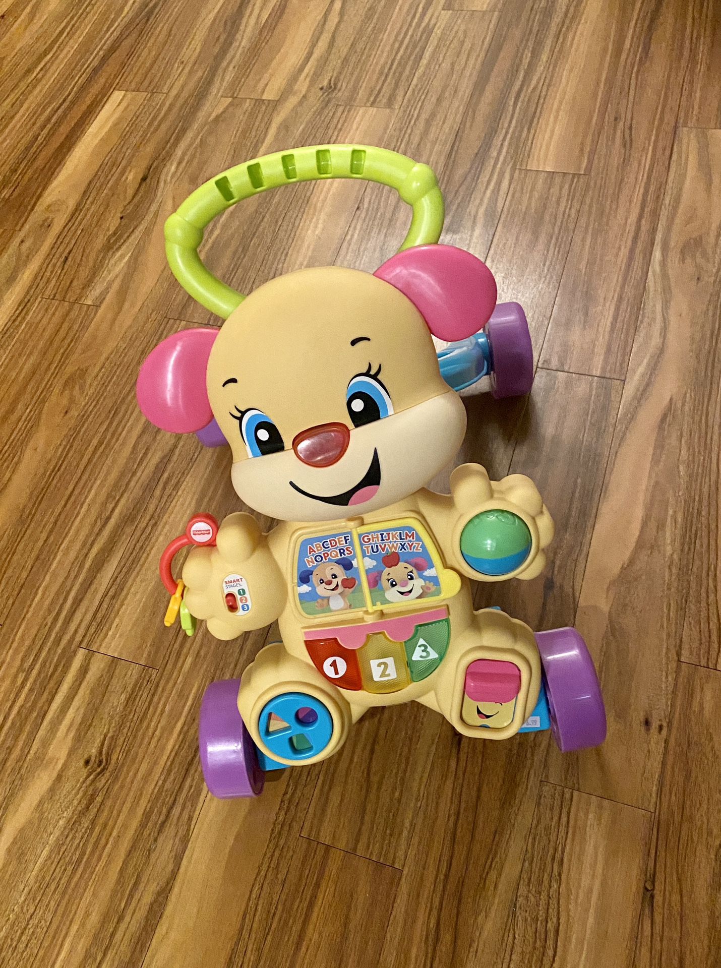 Fisher Price  Baby  Waler