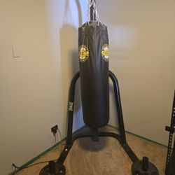 100 Pound Everlast Punching Bag