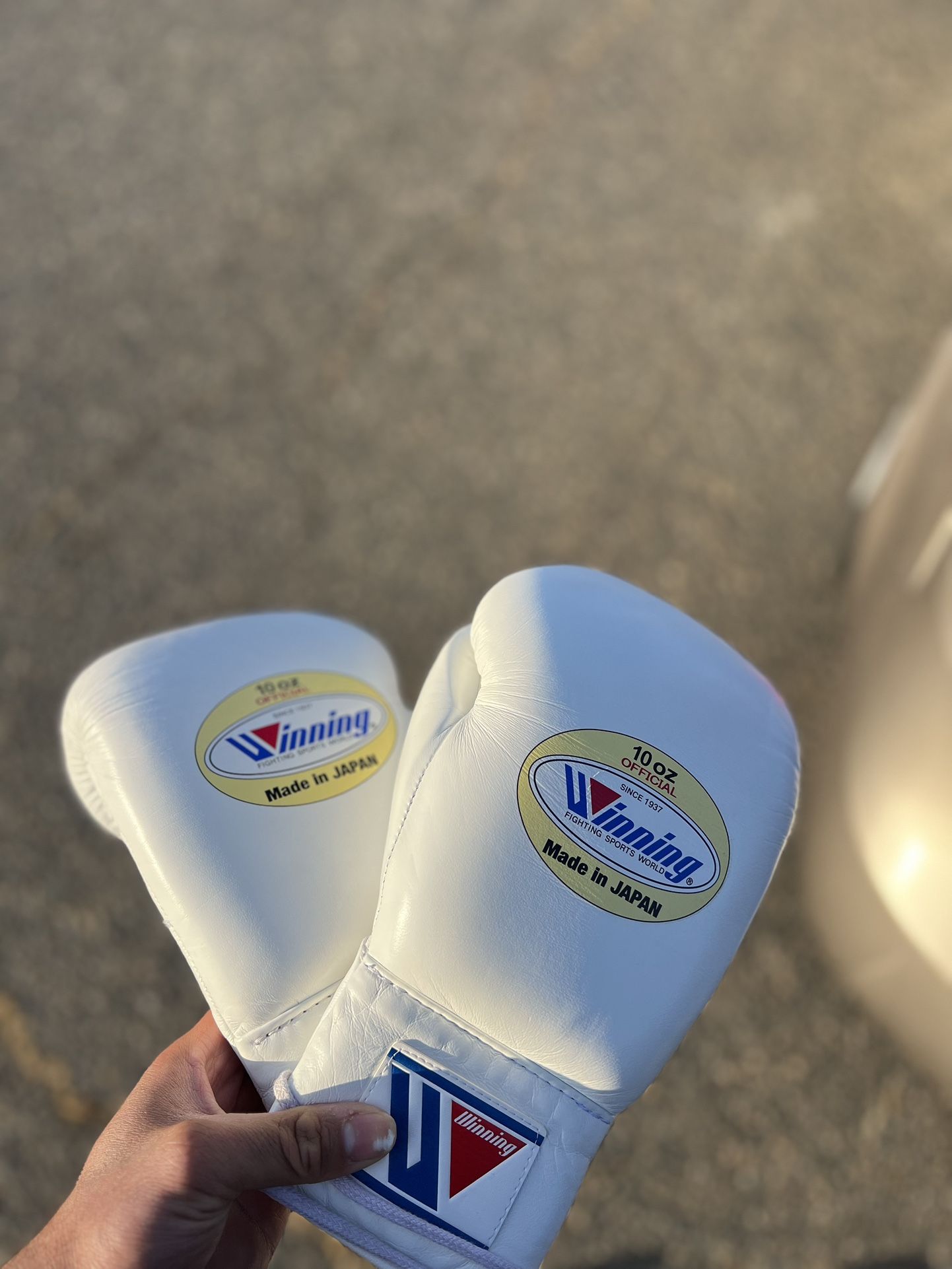 Winning 10 Oz Boxing Gloves