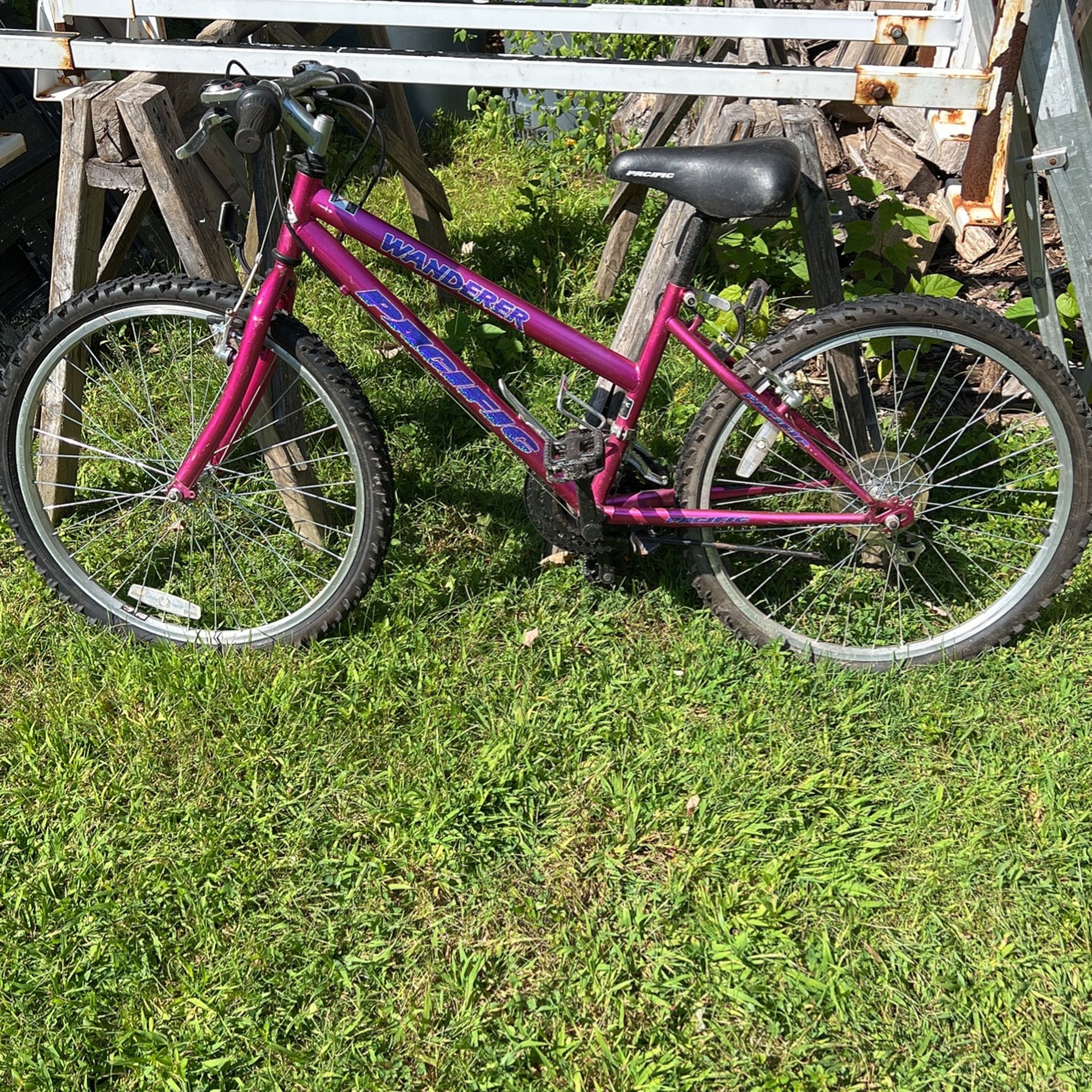 Mountain Bike
