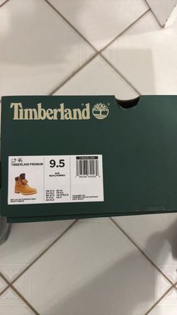 Brand new timbs 9.5