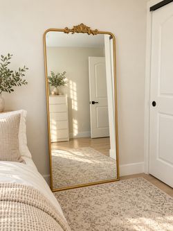 NEW Costco Mirror
