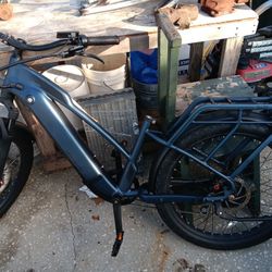 Electric Bicycle