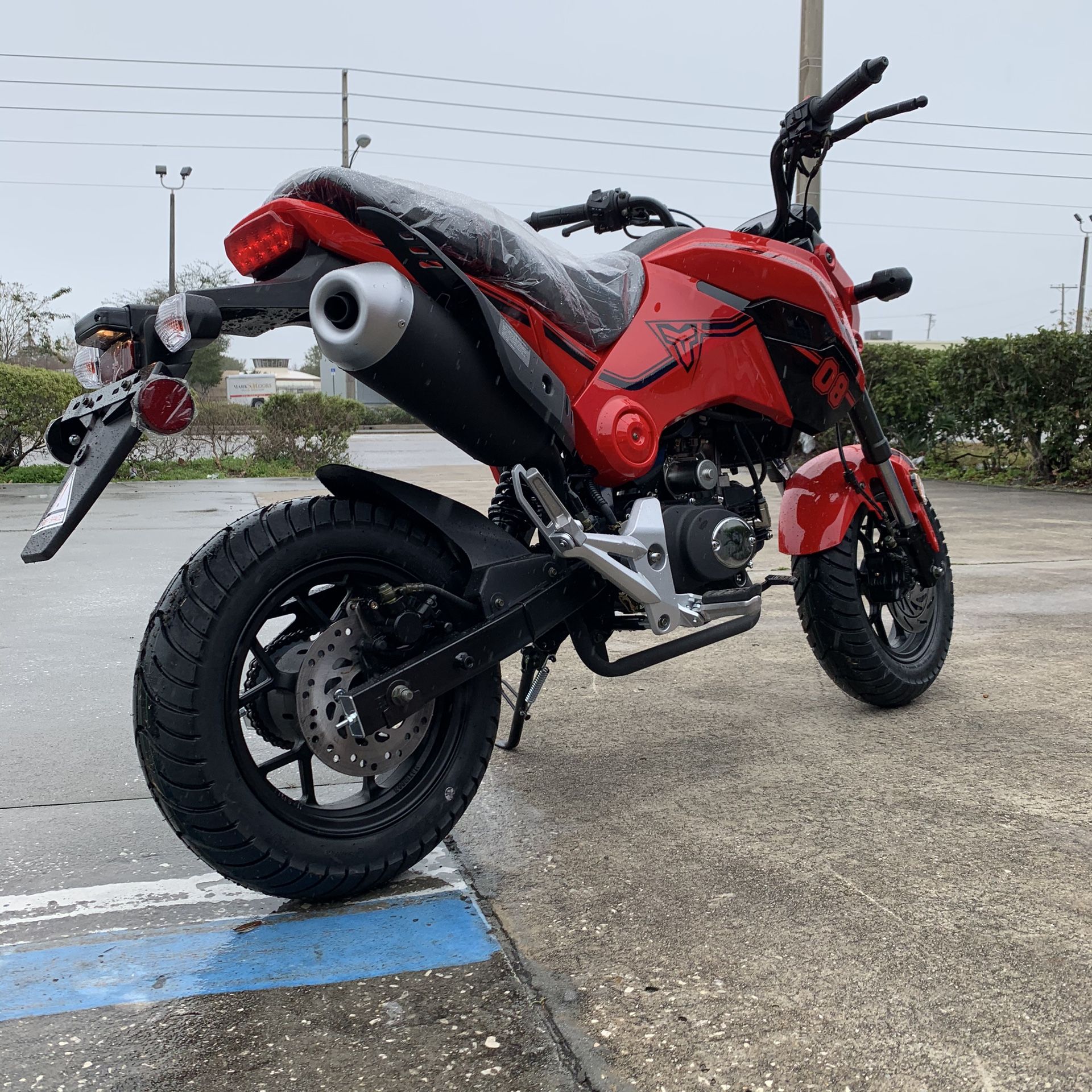 TAO HELLCAT 125 (MANUAL CLUTCH) WILD HOGS (WINTER GARDEN) for Sale in