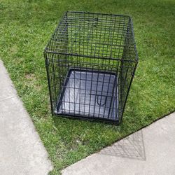 Dog Kennel