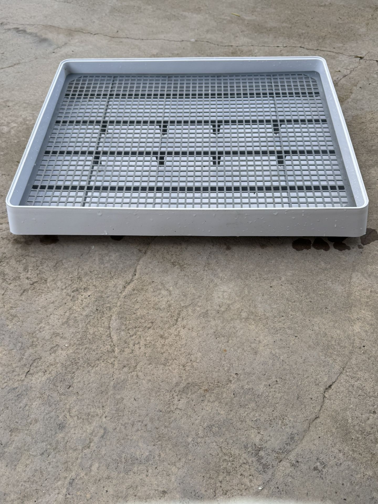 Extra Large Pet Litter Box Training Tray