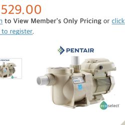 Pentair Variable Speed Pool Pump - Negotiabl 