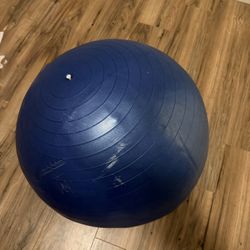 Exercise Ball - FREE