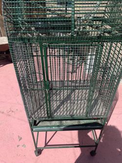 Bird Cage