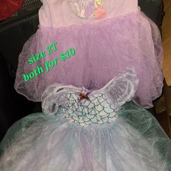 Princess Dresses 2T