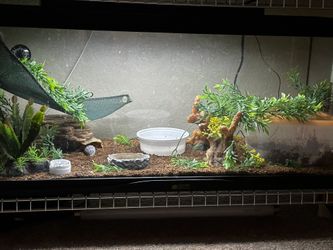 Tank