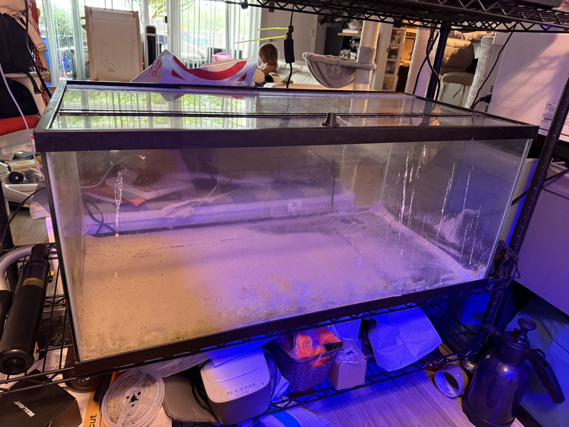 Fish Tank 40 Gallons With Glass Too