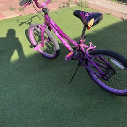20 Girls Bike