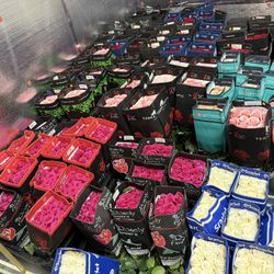Wholesale Flowers Supplies 