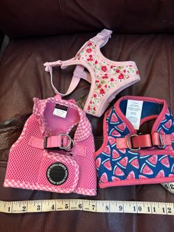 Dog harness. Pink ruffled harness, watermelon harness or flowered harness. Small. Price for each