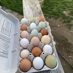Farm Fresh Chicken Eggs