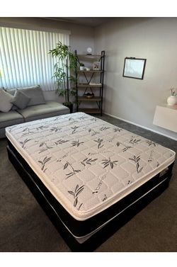 New Mattress And Box Spring 