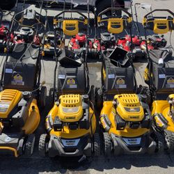 Gas Lawnmowers Different Size Different Price