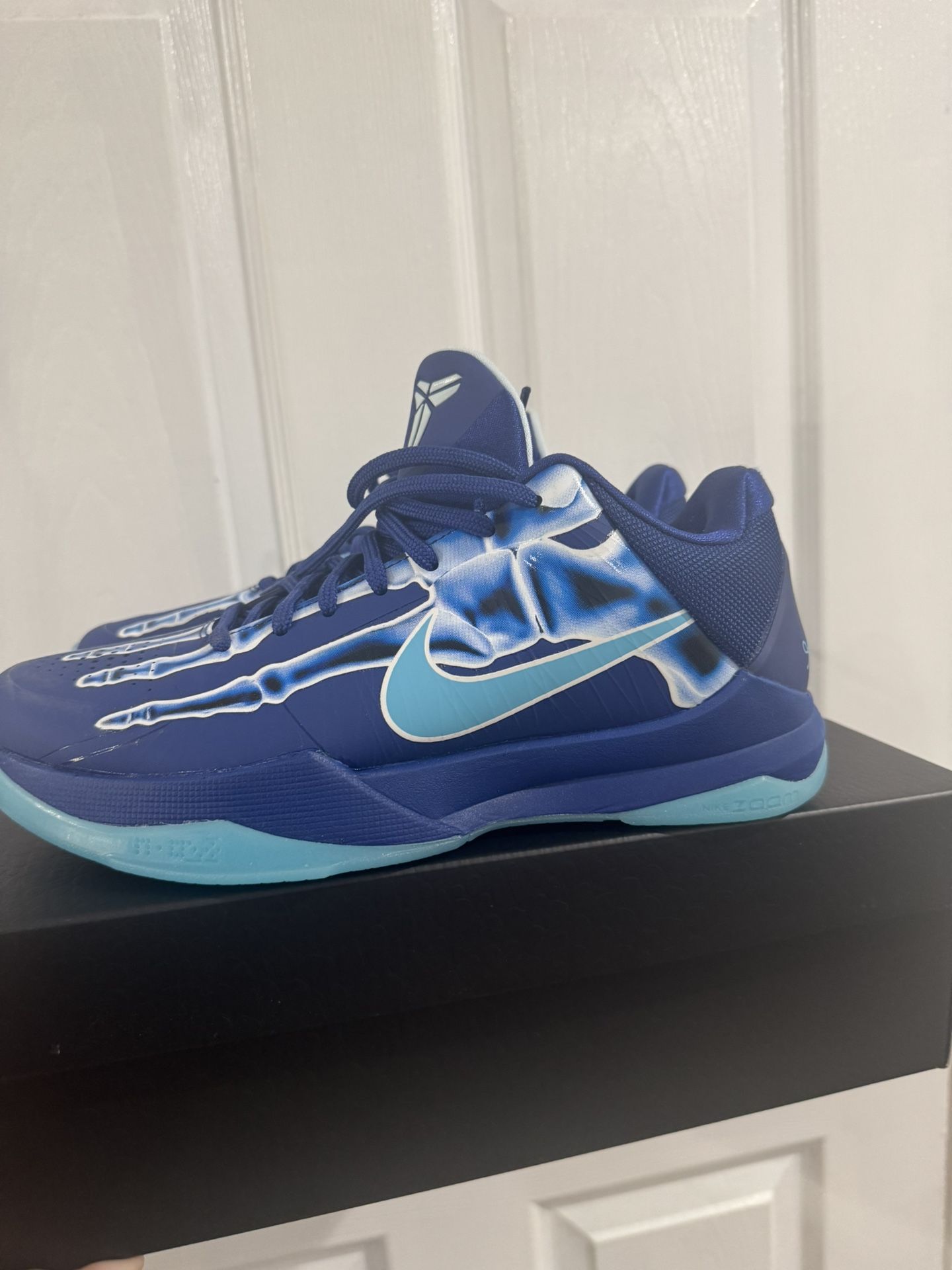 Kobe 5 Protro X Ray