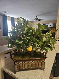 Uttermost/Artificial Avocado Plant
