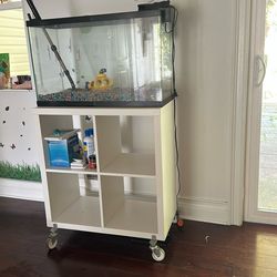 Great Fish Tank With Cubby On Wheels