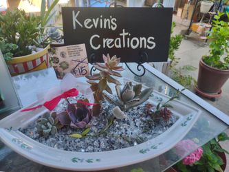 Mother's Day sale plants make.good gifts