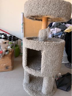 Used cat tree