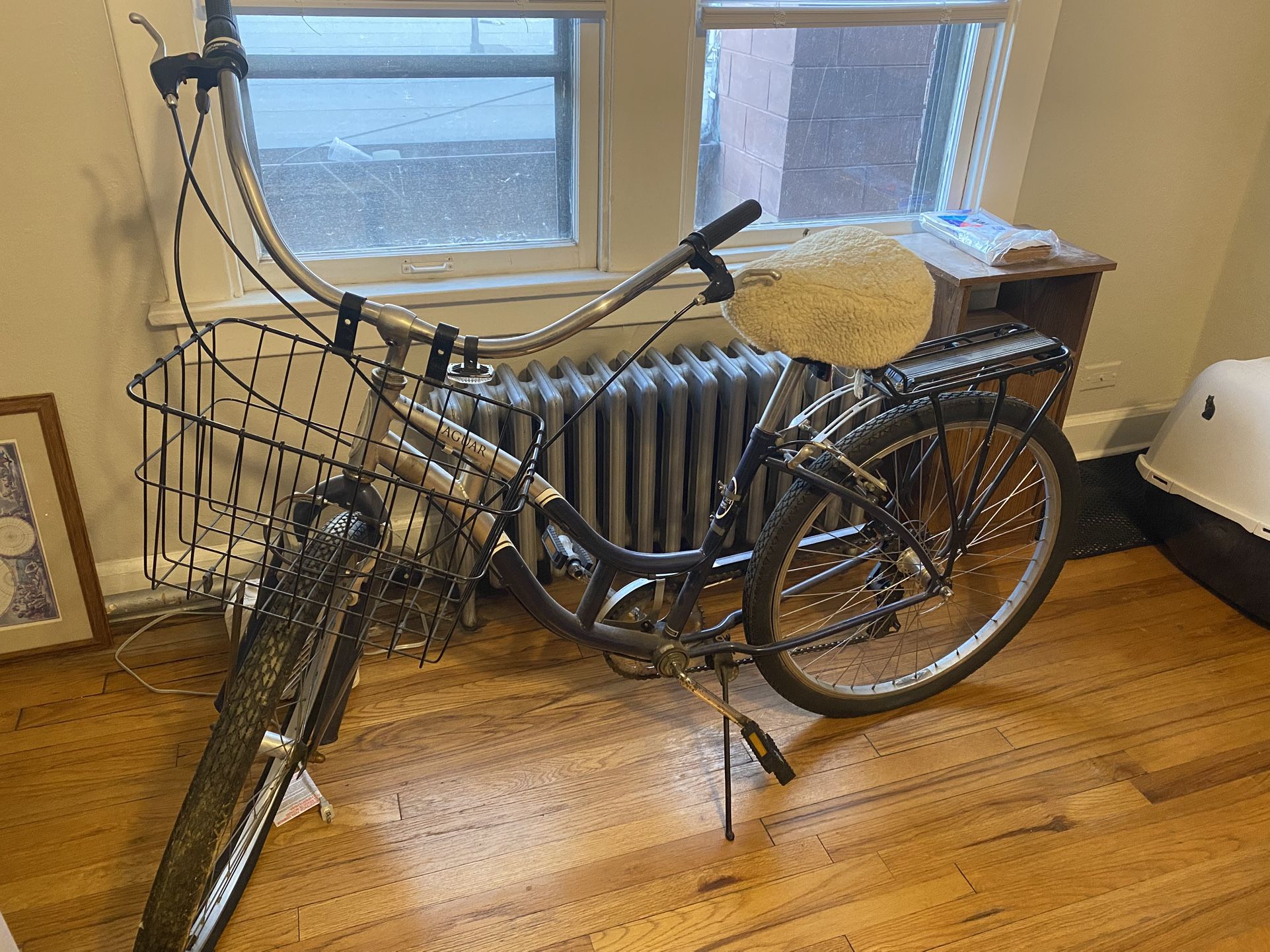 Jaguar bike with basket