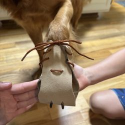 Australian Outback Dog Booties