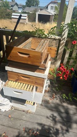 Bee Keeping Equipment