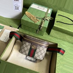 Seasonal Gucci Ophidia Bag