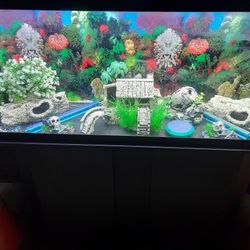 Fish Tank 55gallon 