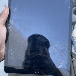 4 iPads Selling As Is