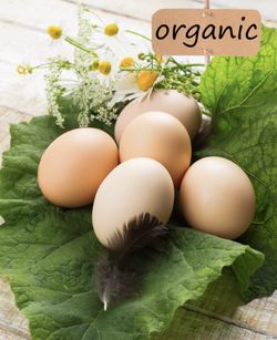 Fresh chicken eggs from this week- available today