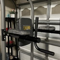 Ab Stand And Pull Up Bar With Push Up Bars As Well.