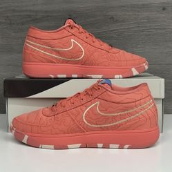 Nike Book 1 "Sedona"