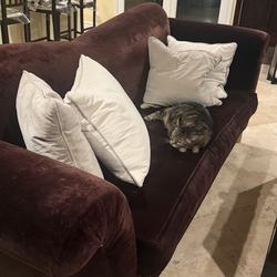 Velvet Sofa + Accent Chair Set – Modern Statement Pieces