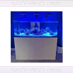 Giant Aquarium Tank - Spacious & Magnificent sure include