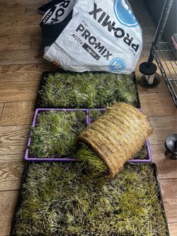 Root mats $1