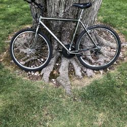 26” Mountain Bike (xl Bike) 