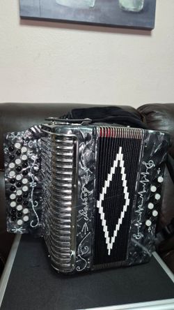 Acordion seminuevo
