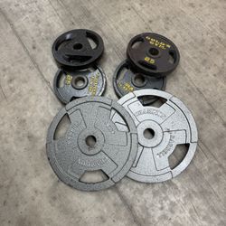 Weight Plates 25-45