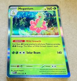 Pokémon Mega Evolution