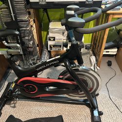 Weslo Pro Spin Bike