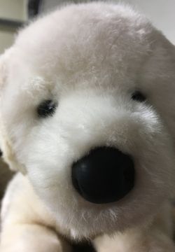 Stuffed dog toy